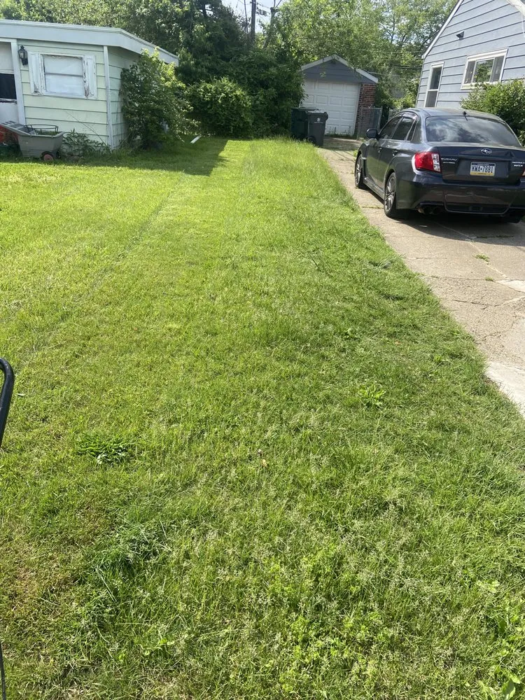 Custom landscape installation in Ogontz Campus, PA - K&A Landscaping