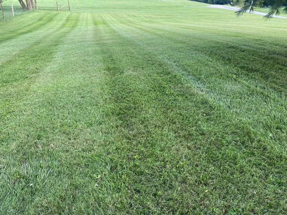 Reliable landscaping services for residential properties across Bardstown, KY - KA Landscaping services