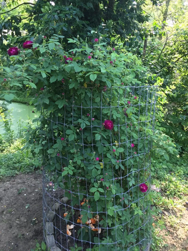 Affordable yard maintenance in Bardstown, KY - KA Landscaping services