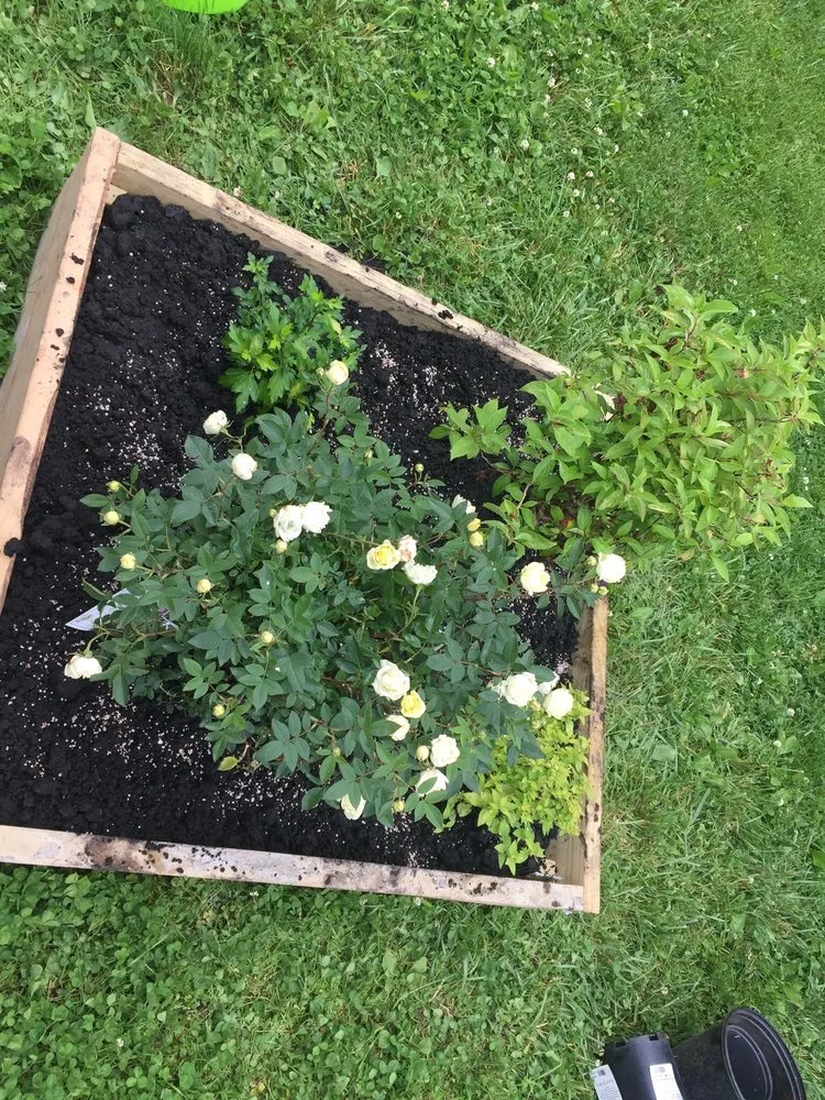 Trusted landscape installation experts serving Bardstown, KY - KA Landscaping services