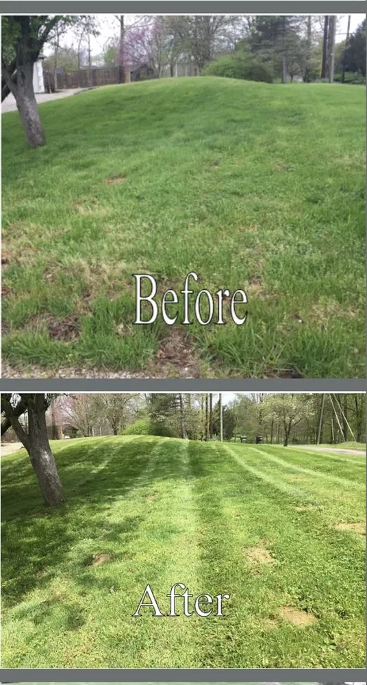Local yard cleanup service for outdoor upgrades in Bardstown, KY by KA Landscaping services