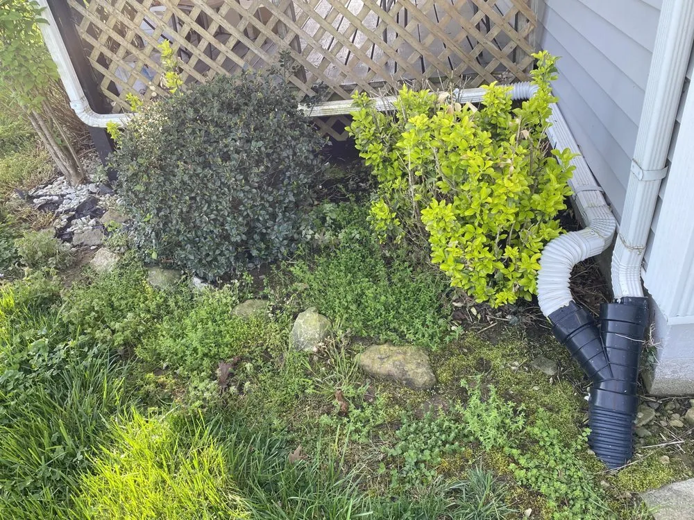 Professional outdoor landscaping in Bardstown, KY by KA Landscaping services