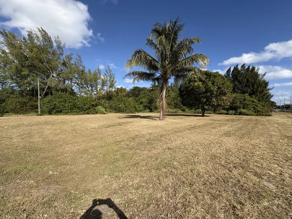 Affordable yard cleanup service in Haverhill, FL - K&A Lawn Care Services