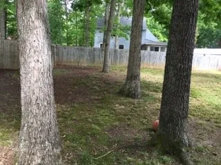 Expert yard maintenance experts serving Powhatan, VA - K&A Lawncare