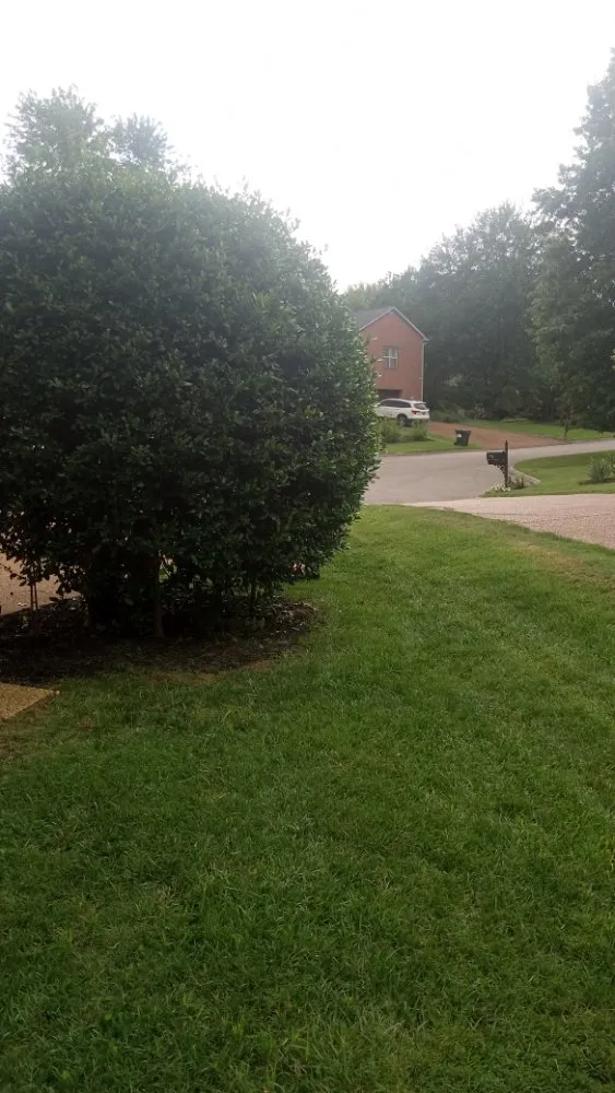 Trusted landscaping services in Rocky Top, TN by K&A Lawncare