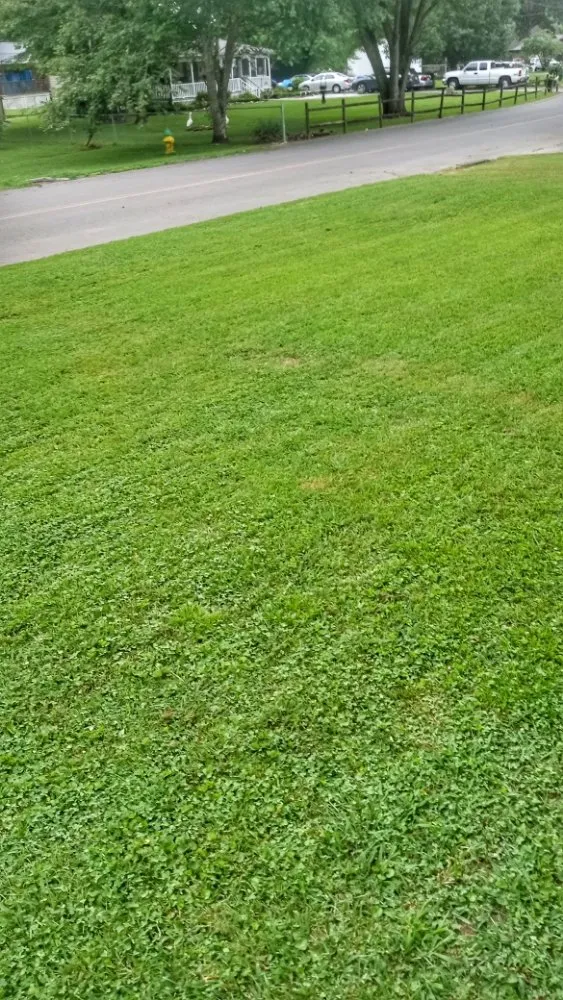 Expert yard maintenance experts serving Rocky Top, TN - K&A Lawncare