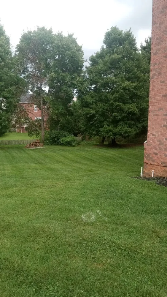 Professional yard maintenance in Rocky Top, TN by K&A Lawncare