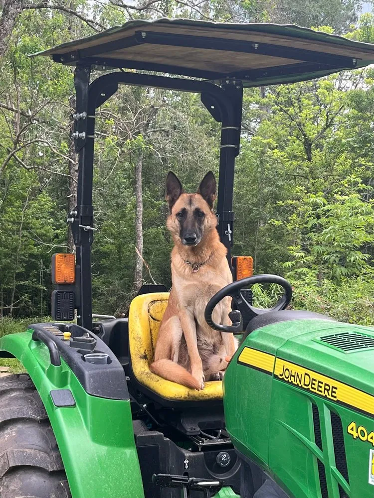 Top-rated lawn mowing service with custom design across Hattiesburg, MS - K&A Tractor Service