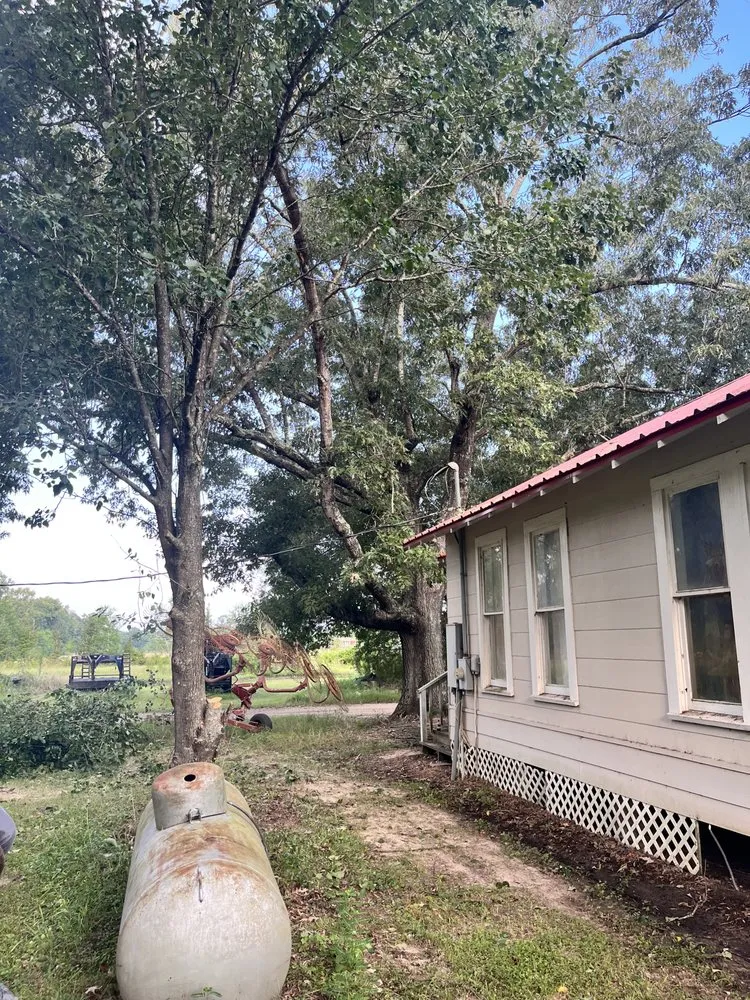 Professional garden landscaping in Batson, TX by K&A Tree & Lawn Service
