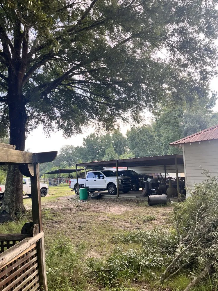 Trusted lawn care service in Batson, TX - K&A Tree & Lawn Service