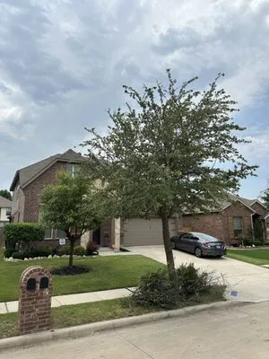 Kaag’s Premium Lawn Care Logo