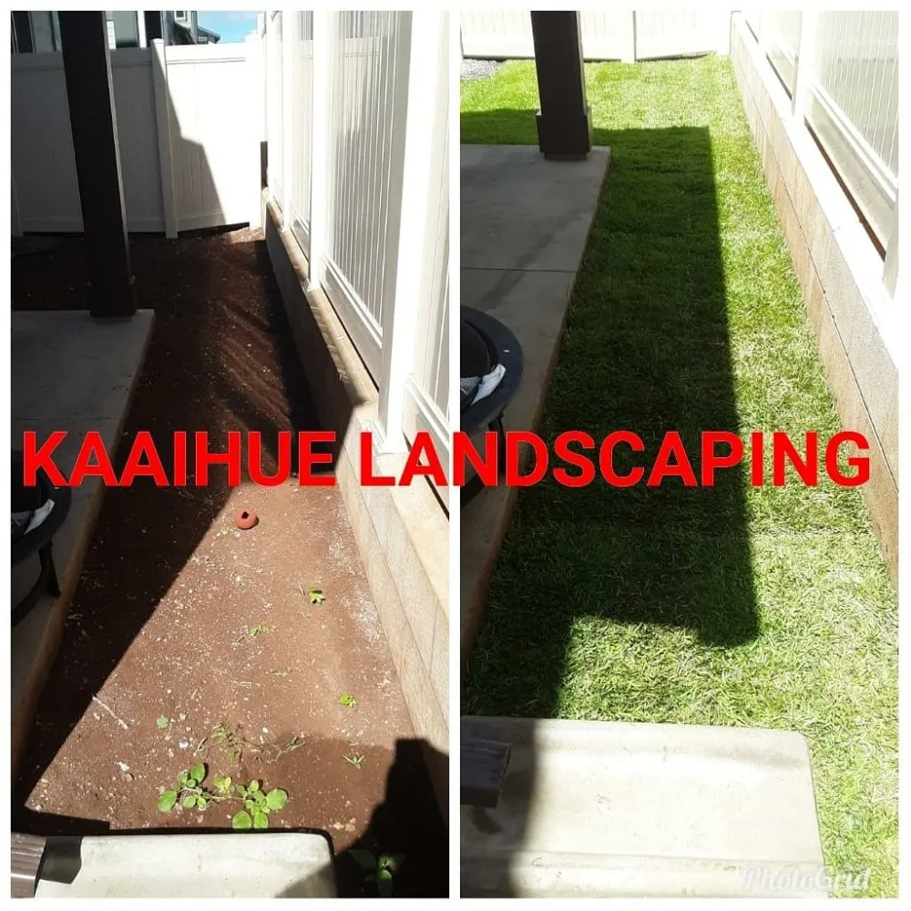 Professional landscaping services in Waianae, HI by Kaaihue Landscaping