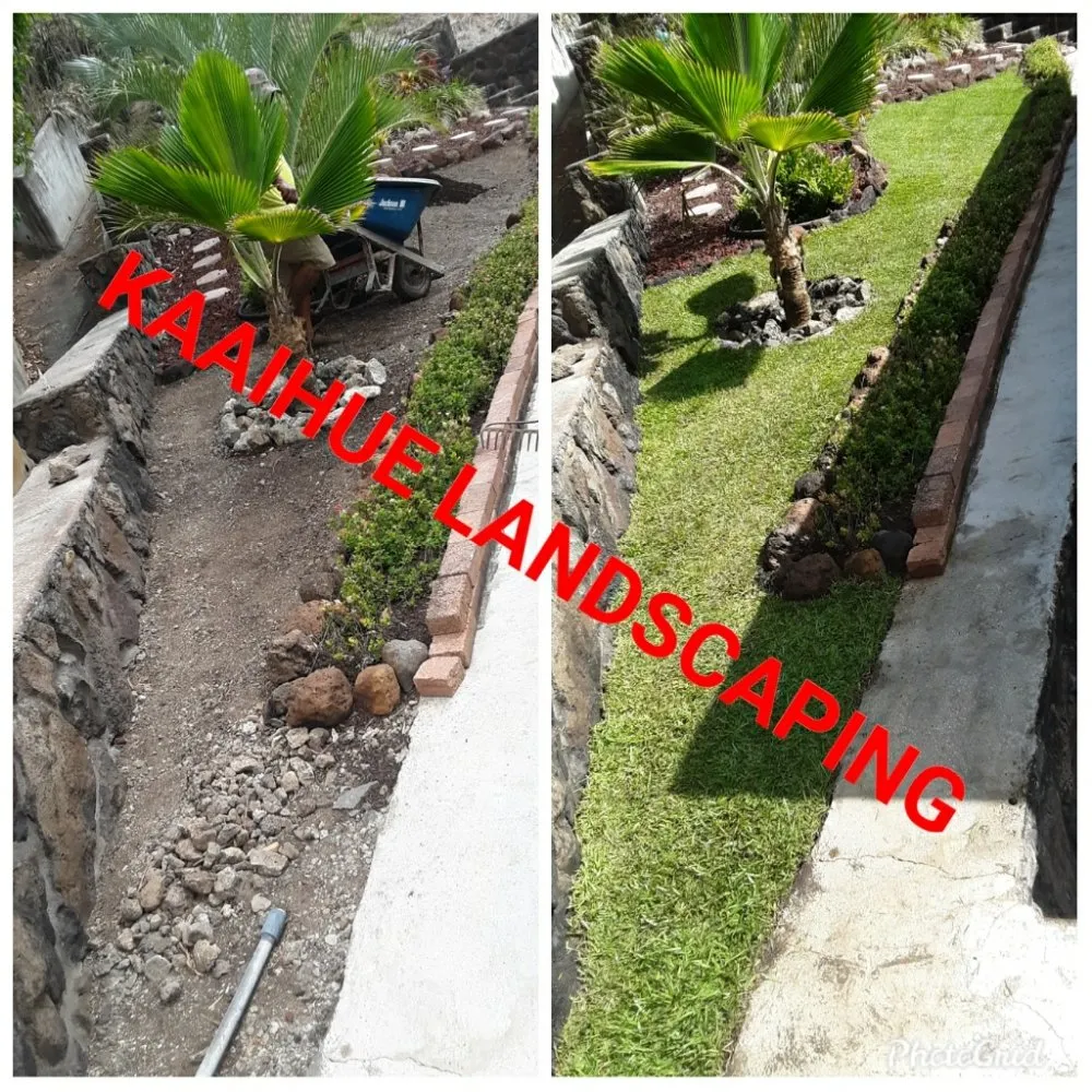 Custom yard cleanup service in Waianae, HI - Kaaihue Landscaping