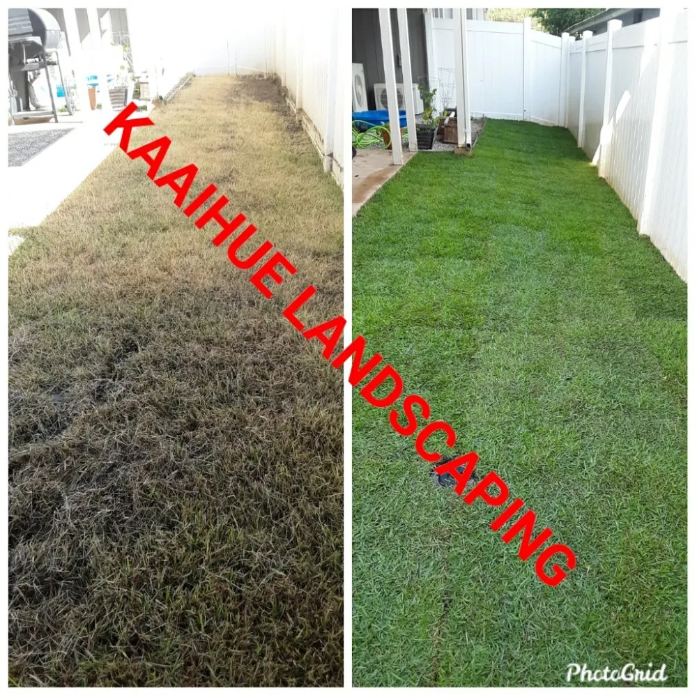 Reliable lawn care service for residential properties in Waianae, HI by Kaaihue Landscaping