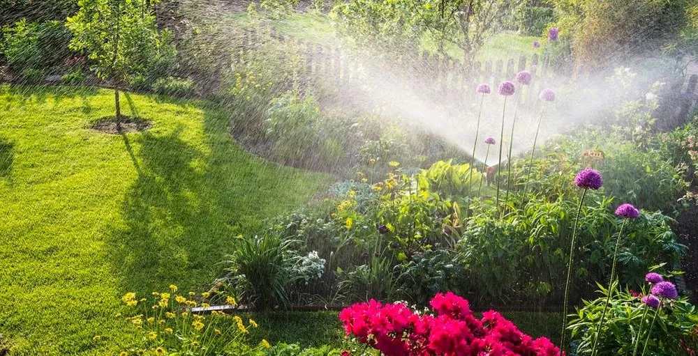 Reliable lawn care service in Poquoson, VA - KAB Grounds Maintenance