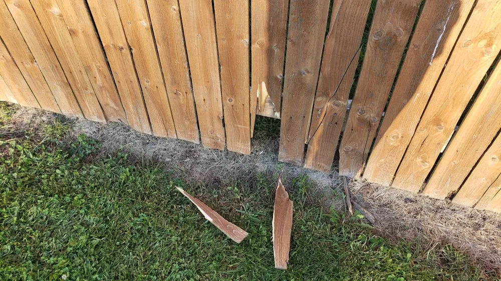 Professional yard cleanup service for beautiful yards across Freeland, MI - Kable Landscaping