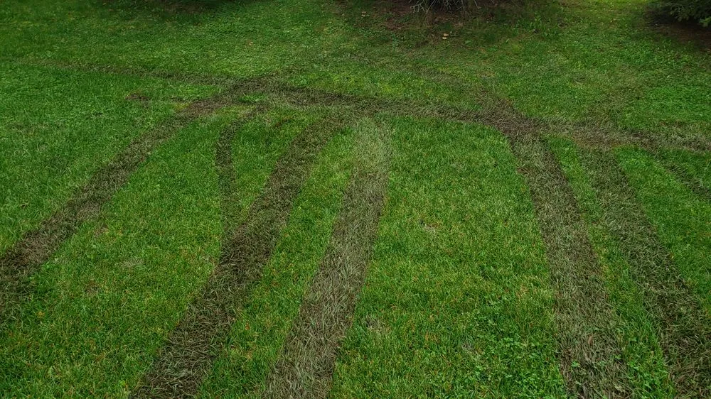 Trusted yard maintenance for residential properties in Freeland, MI by Kable Landscaping