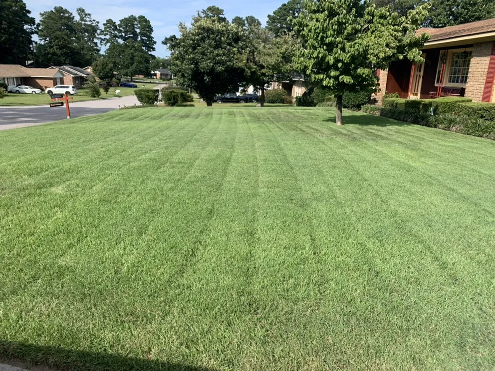 Reliable residential landscaping in Irmo, SC by KAC Property Solutions