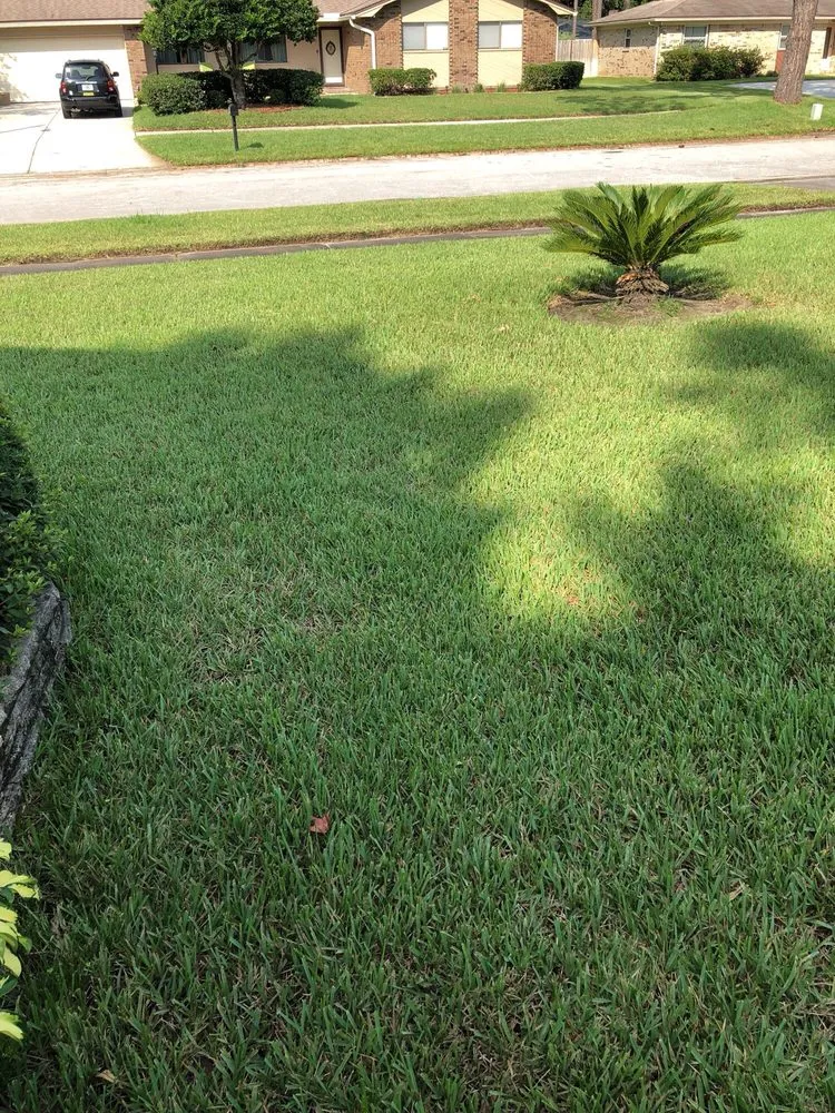 Affordable landscape design in Jacksonville, FL - Kace Lawn Pros