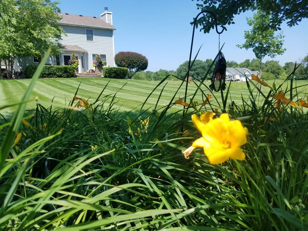 Top-rated landscaping services in Kingston, IL - Kacoa Landscaping