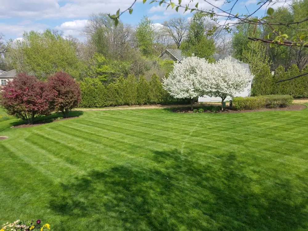 Professional landscape installation for year-round maintenance in Kingston, IL by Kacoa Landscaping