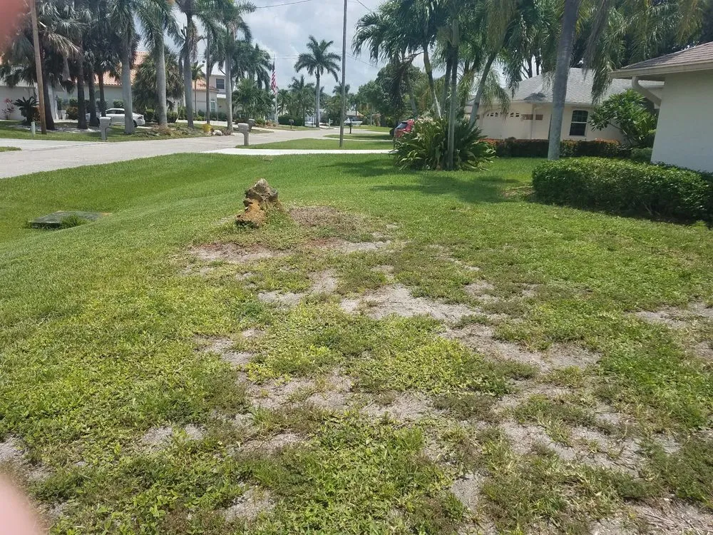 Expert lawn care service for beautiful yards across Cape Coral, FL - KadLandscape Augusto Diaz