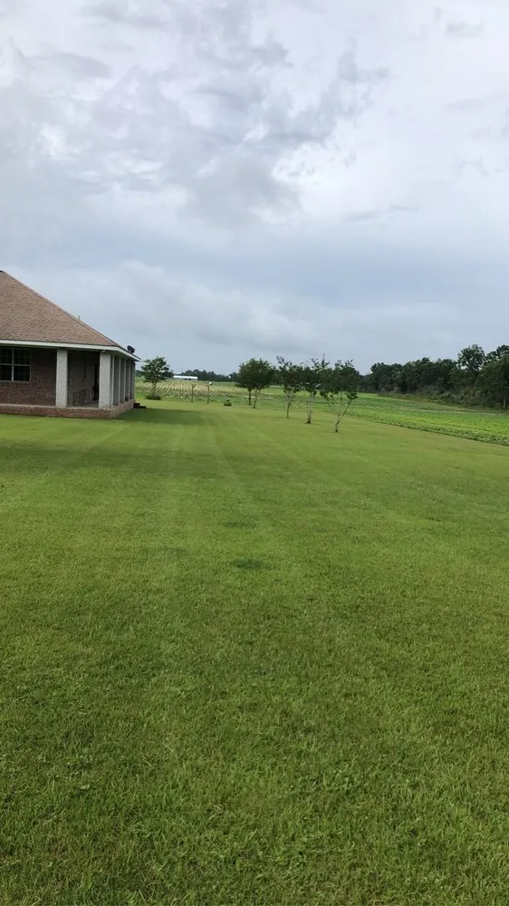 Local lawn mowing service in Robertsdale, AL - Kaechele’s Lawn Maintenance