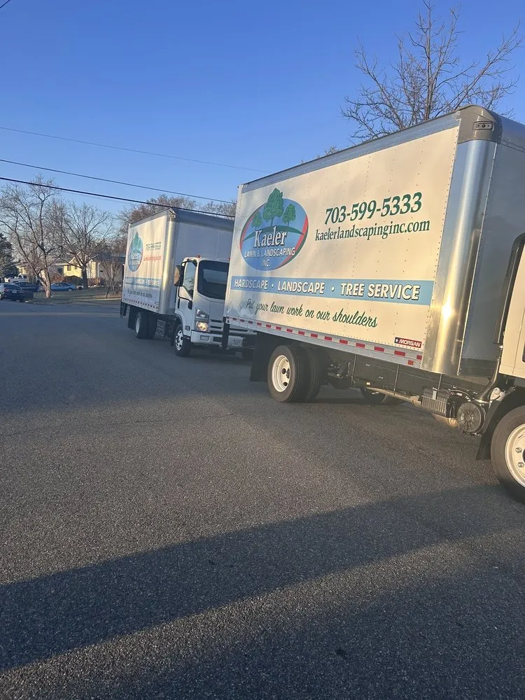 Local yard cleanup service in Springfield, VA by Kaeler Lawn & Landscaping