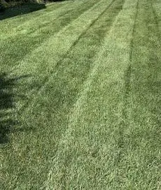 Expert outdoor landscaping with custom design in Springfield, MA by Kaesin Batista Lawn and Care