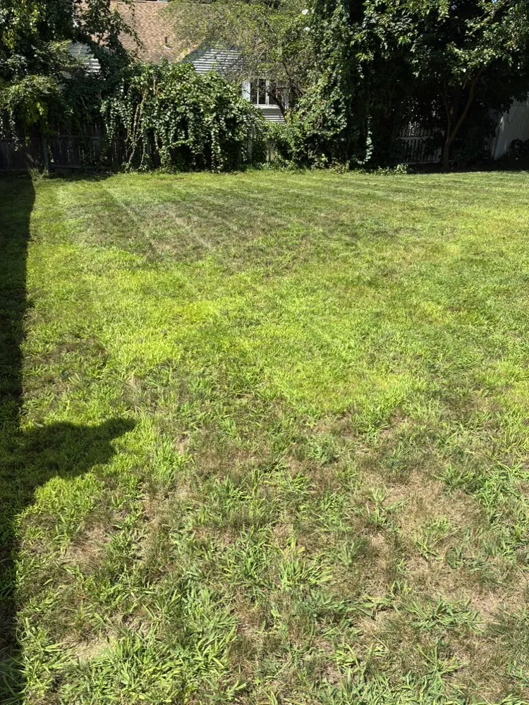Professional yard cleanup service for year-round maintenance in Springfield, MA by Kaesin Batista Lawn and Care