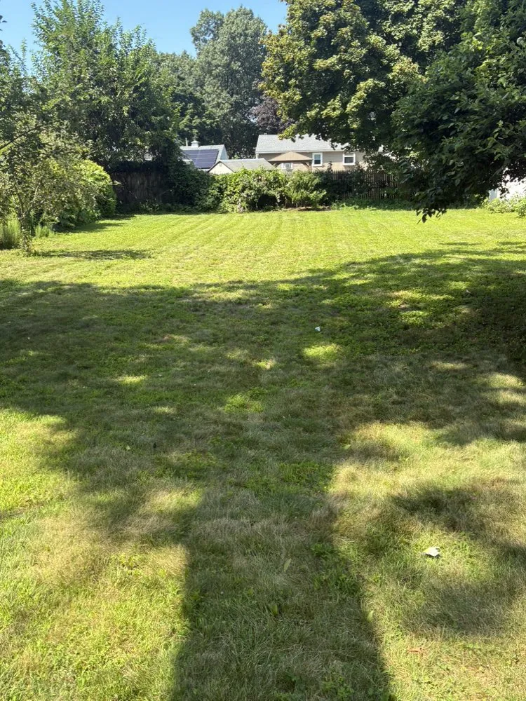 Expert residential landscaping in Springfield, MA - Kaesin Batista Lawn and Care