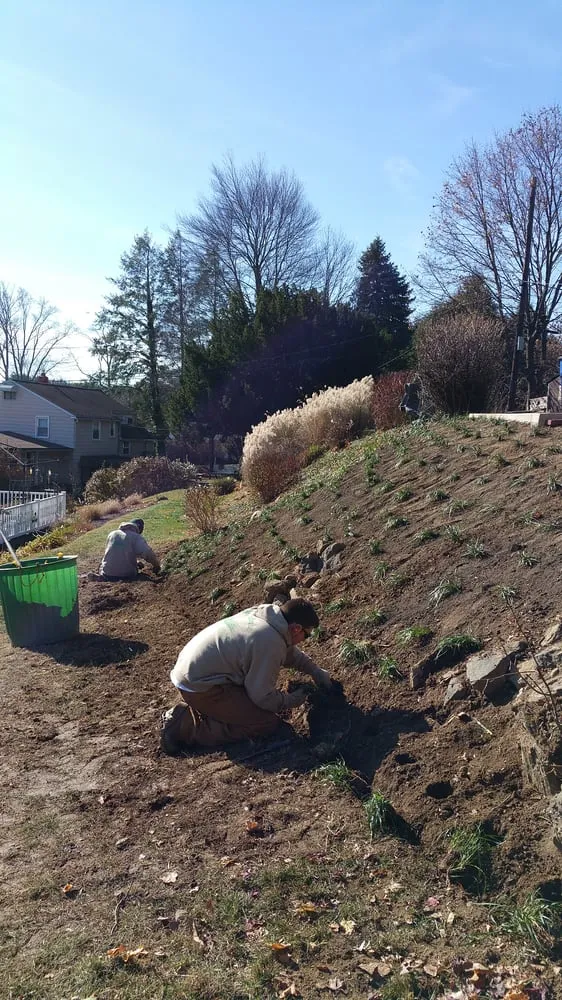 Professional yard cleanup service with custom design across Aston, PA - Kagle's Specialty Gardens