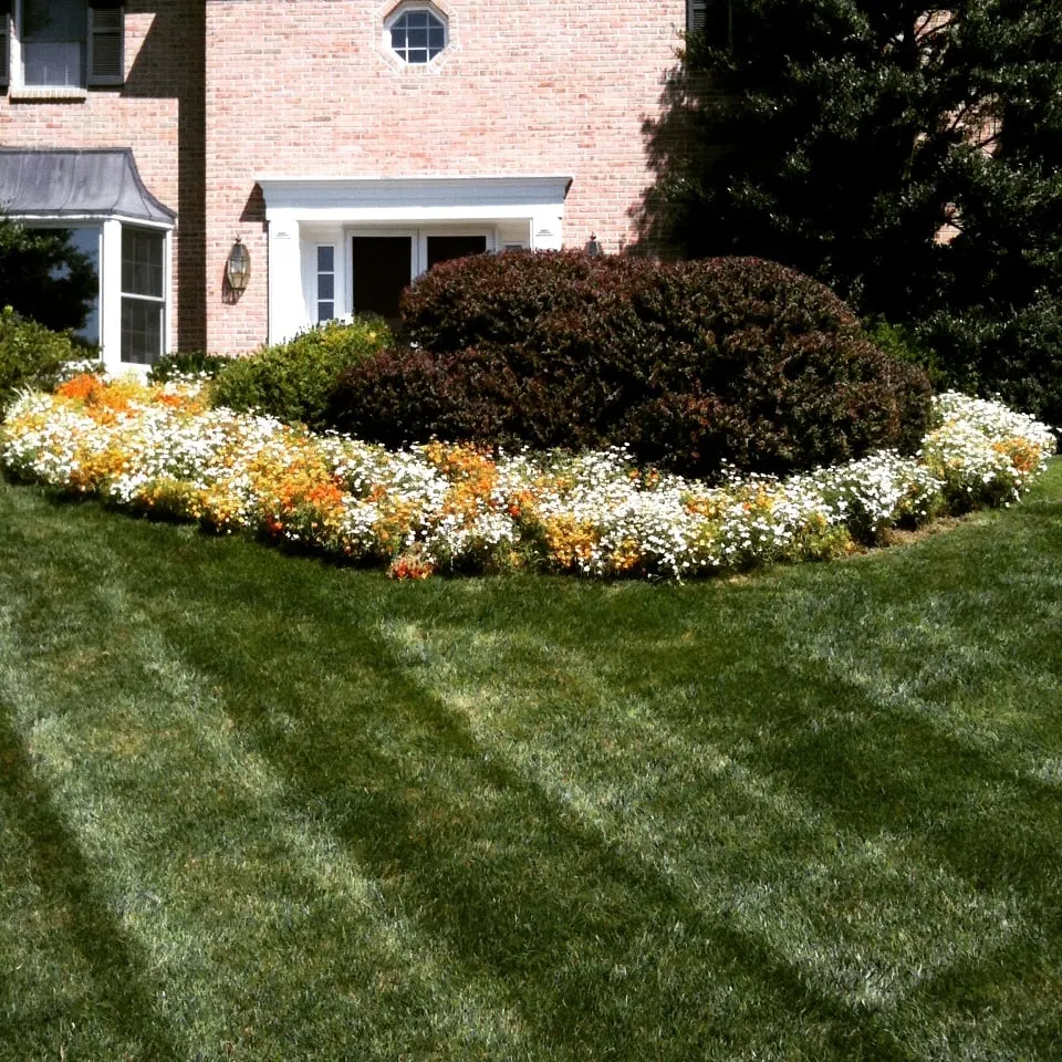 Top-rated outdoor landscaping in Aston, PA by Kagle's Specialty Gardens
