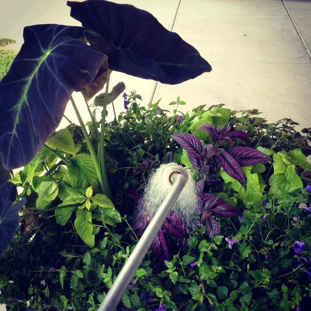 Affordable yard cleanup service with custom design in Aston, PA by Kagle's Specialty Gardens