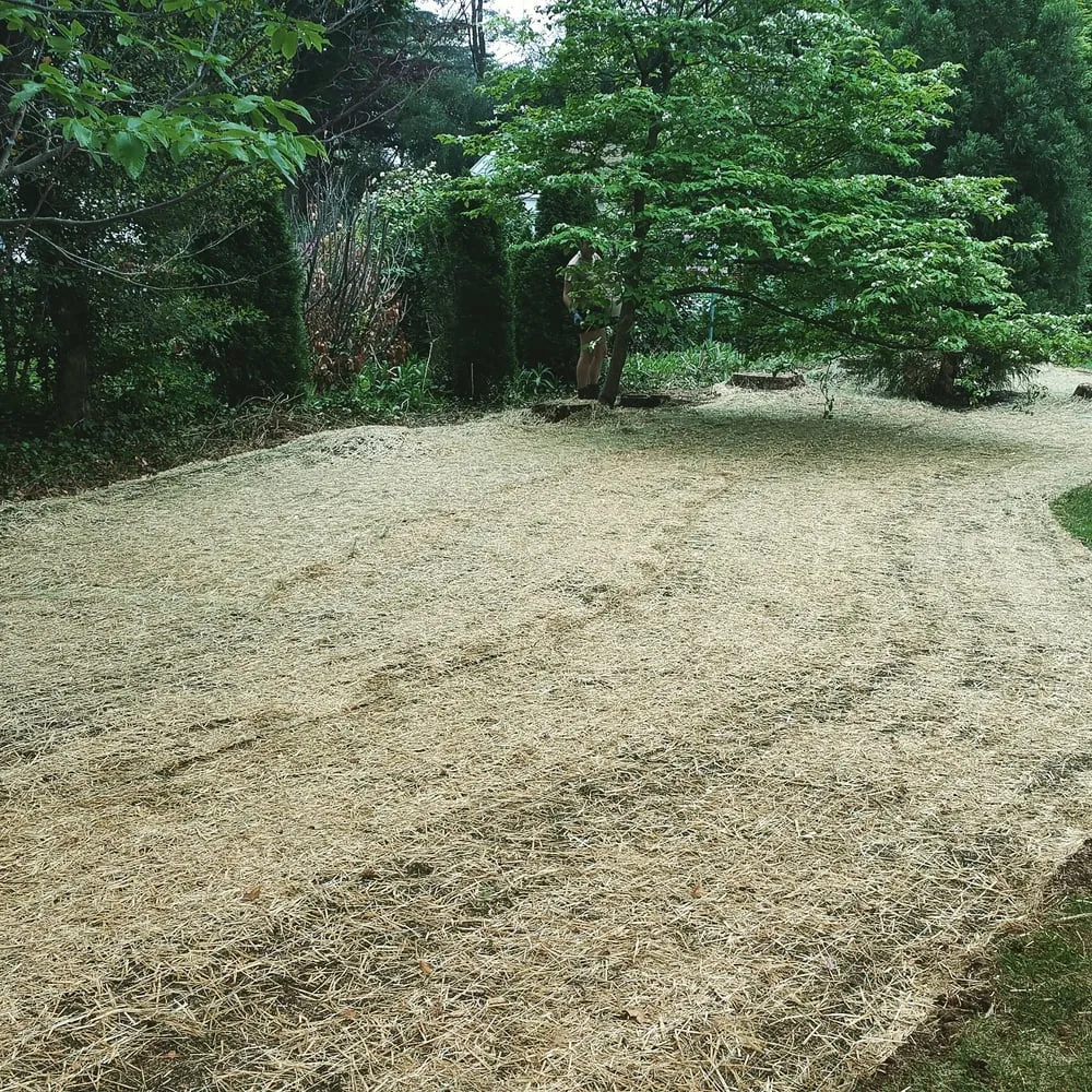 Top-rated lawn mowing service in Aston, PA by Kagle's Specialty Gardens