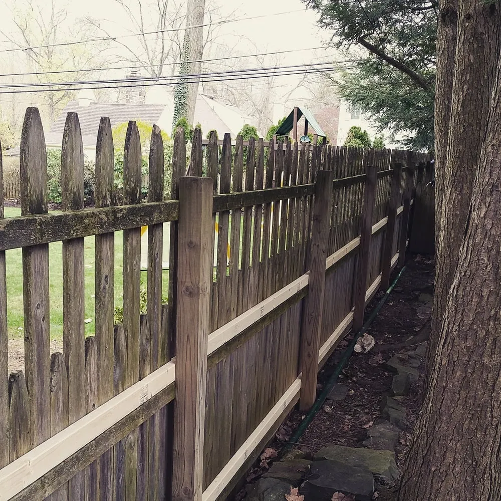 Trusted yard cleanup service for year-round maintenance across Aston, PA - Kagle's Specialty Gardens