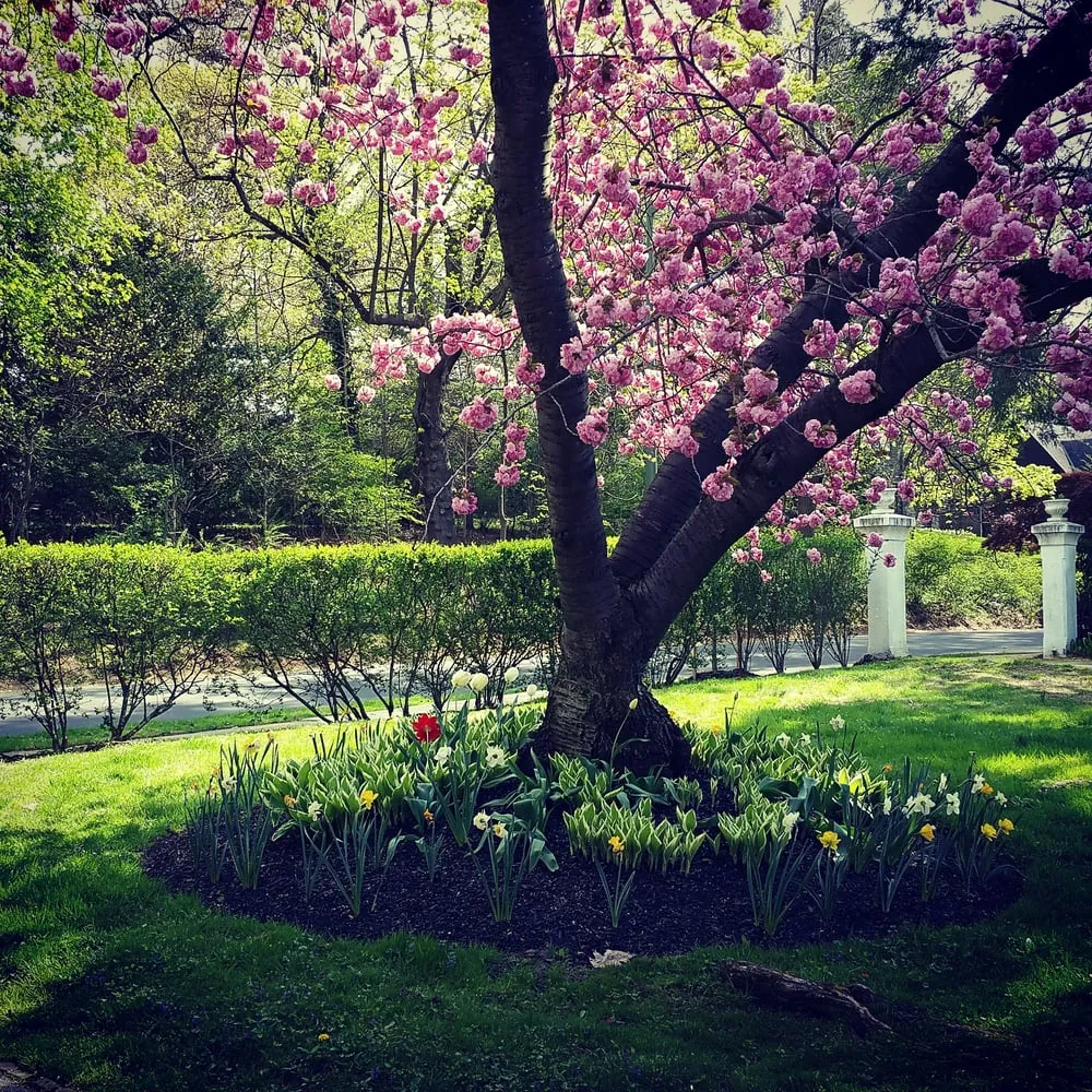 Professional lawn care service in Aston, PA - Kagle's Specialty Gardens