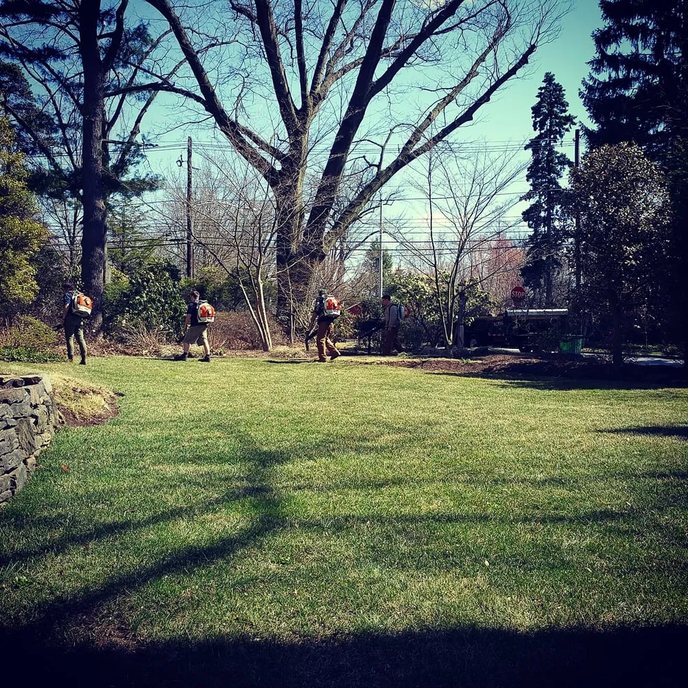 Reliable yard cleanup service for residential properties across Aston, PA - Kagle's Specialty Gardens