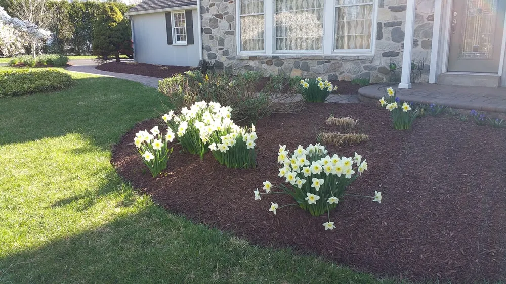 Top-rated outdoor landscaping in Aston, PA by Kagle's Specialty Gardens