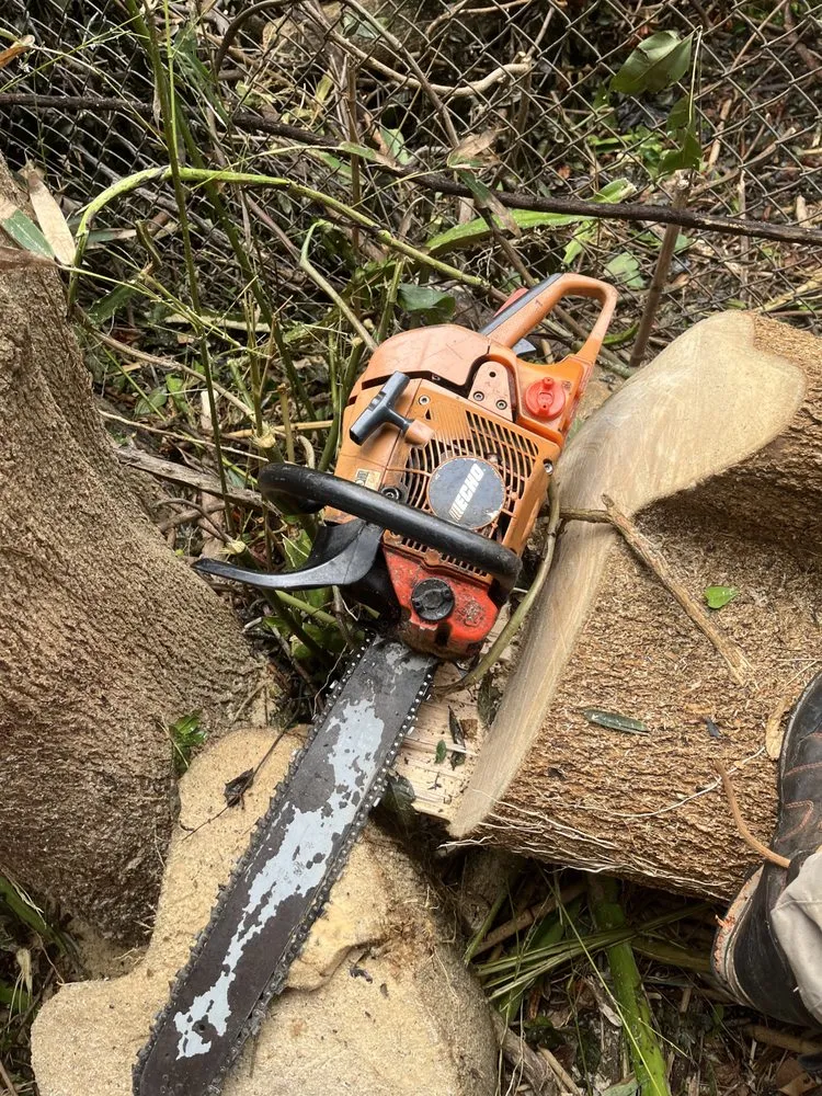 Top-rated landscape installation in Kaneohe, HI by Kahekili Tree Trimming & Landscape