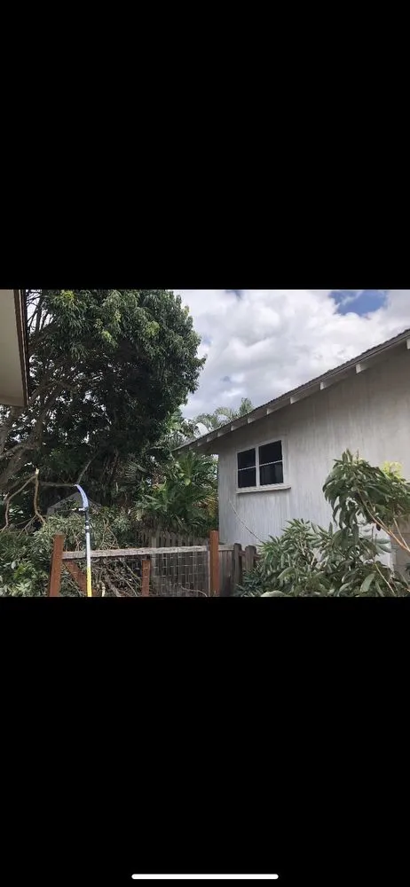 Expert yard cleanup service with custom design in Kaneohe, HI by Kahekili Tree Trimming & Landscape