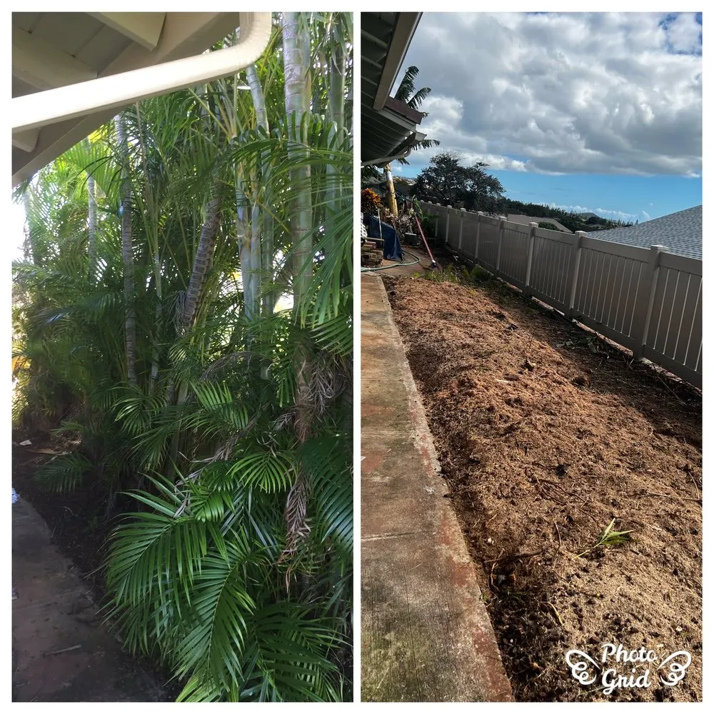 Top-rated outdoor landscaping near you across Kaneohe, HI - Kahekili Tree Trimming & Landscape