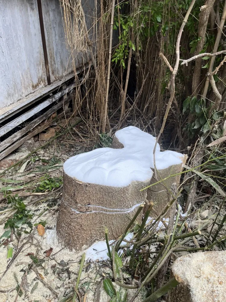 Reliable landscape installation experts serving Kaneohe, HI - Kahekili Tree Trimming & Landscape