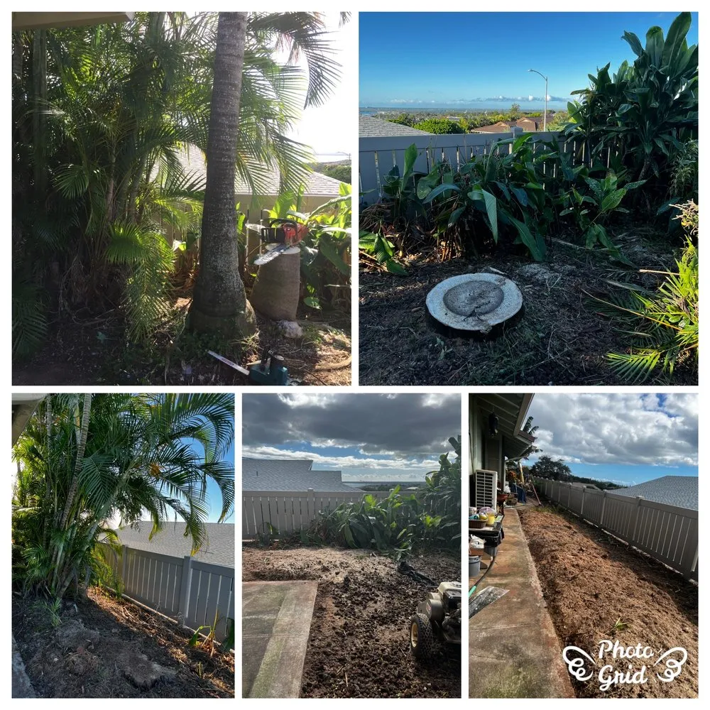 Top-rated landscaping services experts serving Kaneohe, HI - Kahekili Tree Trimming & Landscape