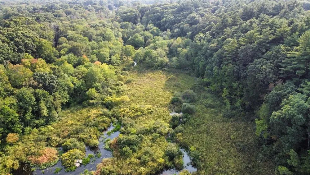 Expert landscape installation for outdoor upgrades across Sharon, MA - Kahn Landscaping