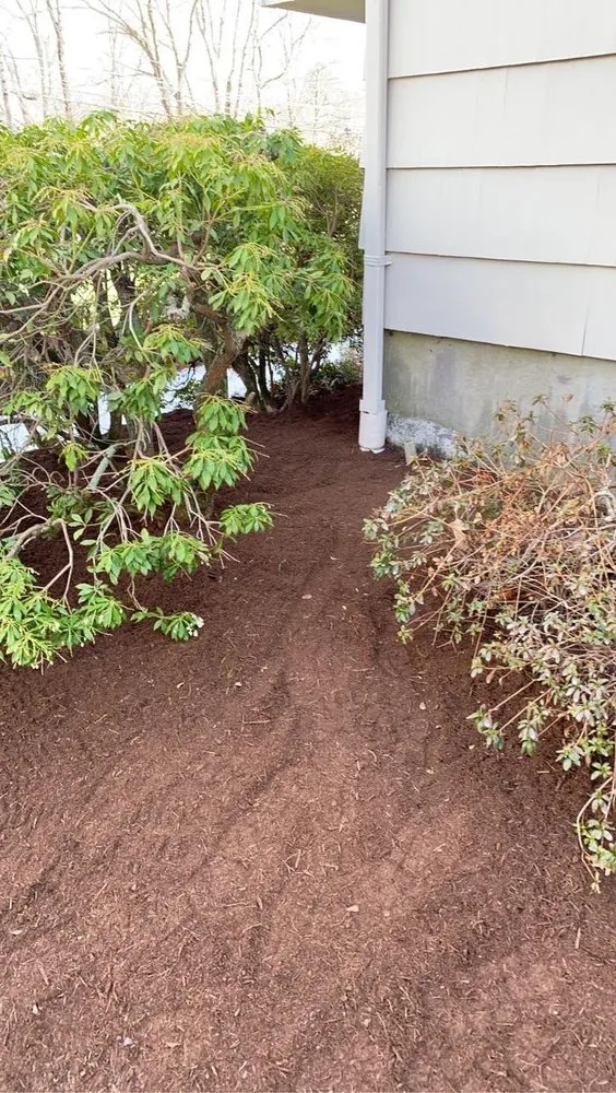 Affordable lawn mowing service in Sharon, MA by Kahn Landscaping