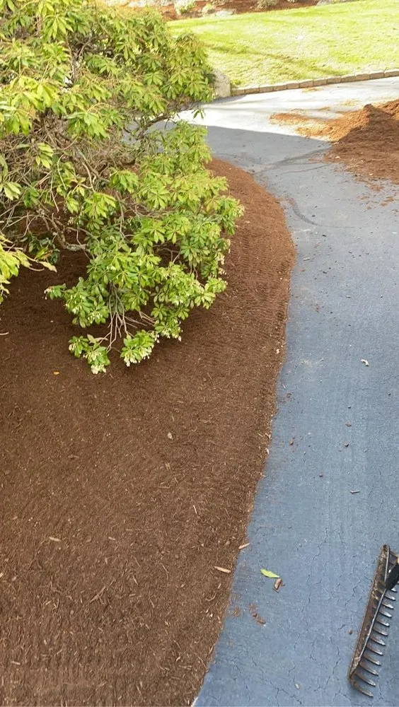 Top-rated landscaping services near you across Sharon, MA - Kahn Landscaping