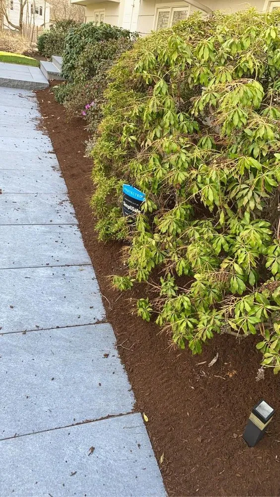 Trusted landscaping services for homes across Sharon, MA - Kahn Landscaping