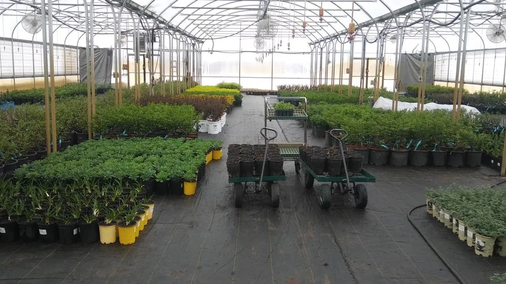 Expert yard cleanup service in Plato, MN - Kahnke Brothers Tree Farm