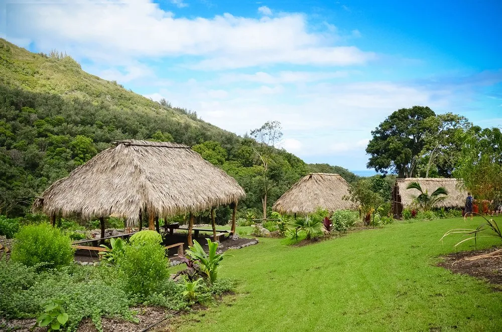 Expert outdoor landscaping in Keaau, HI - Kaholo Crown Land Conservation